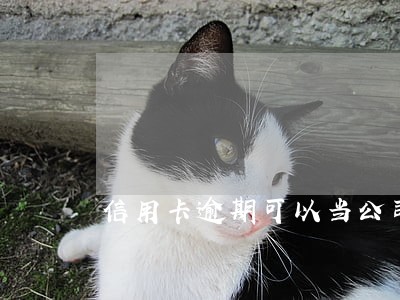 信用卡逾期可以当公司法人代表吗 信用卡逾期可以当公司法人代表吗
