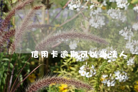 信用卡逾期可以当法人 信用卡逾期可以当法人