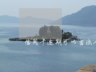 信用卡逾期可以当法人股东吗