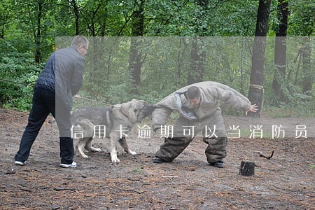 信用卡逾期可以当消防员吗 信用卡逾期可以当消防员吗