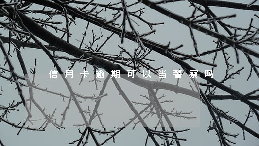 信用卡逾期可以当警察吗 信用卡逾期可以当警察吗
