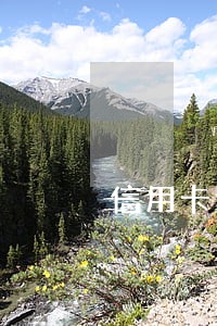 信用卡逾期可以总额分期吗 信用卡逾期可以总额分期吗
