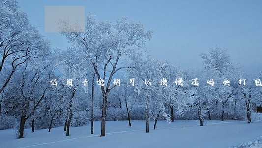 信用卡逾期可以慢慢还吗会打电话给家人吗 信用卡逾期可以慢慢还吗会打电话给家人吗