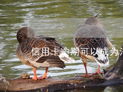 信用卡逾期可以成为法人吗 信用卡逾期可以成为法人吗