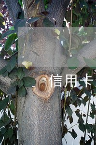 信用卡逾期可以房贷美 信用卡逾期可以房贷美