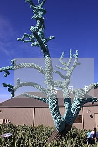 信用卡逾期可以打电话消除吗 信用卡逾期可以打电话消除吗