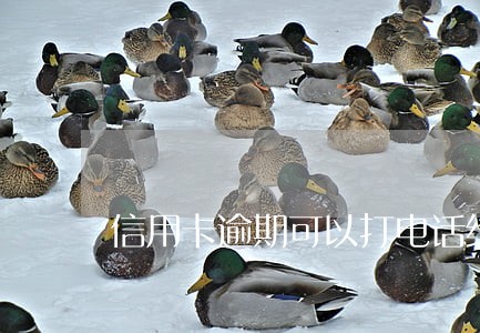 信用卡逾期可以打电话给别人吗 信用卡逾期可以打电话给别人吗