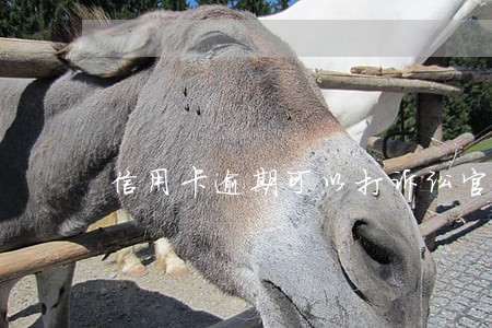 信用卡逾期可以打诉讼官司吗