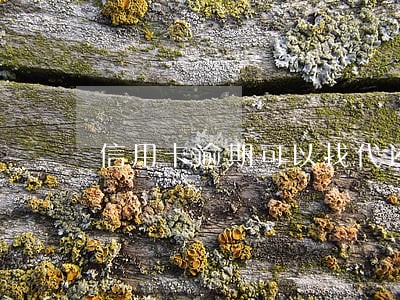 信用卡逾期可以找代还吗
