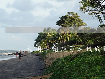 信用卡逾期可以找我解决吗