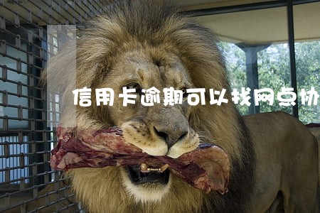 信用卡逾期可以找网点协商吗