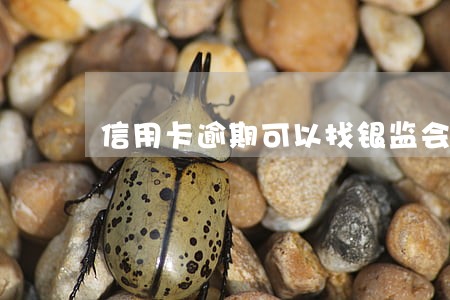 信用卡逾期可以找银监会 信用卡逾期可以找银监会
