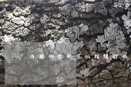 信用卡逾期可以找银行协商吗