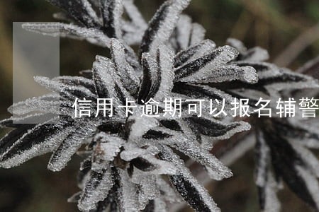 信用卡逾期可以报名辅警吗 信用卡逾期可以报名辅警吗