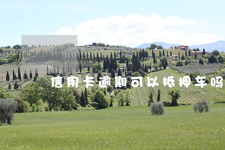 信用卡逾期可以抵押车吗 信用卡逾期可以抵押车吗