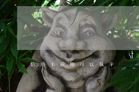 信用卡逾期可以抹平 信用卡逾期可以抹平