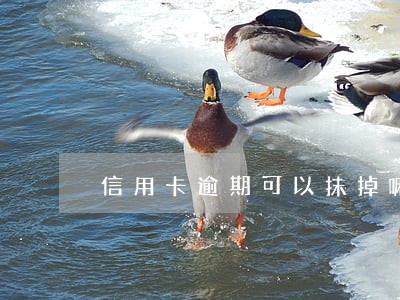 信用卡逾期可以抹掉嘛 信用卡逾期可以抹掉嘛