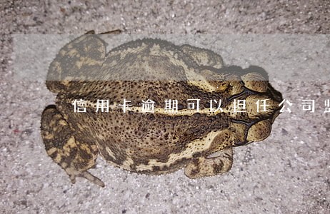 信用卡逾期可以担任公司监事吗 信用卡逾期可以担任公司监事吗