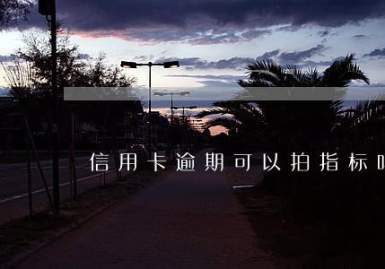 信用卡逾期可以拍指标吗 信用卡逾期可以拍指标吗