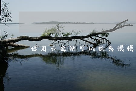信用卡逾期可以挂失慢慢还款吗 信用卡逾期可以挂失慢慢还款吗
