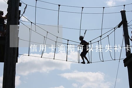 信用卡逾期可以挂失补卡吗 信用卡逾期可以挂失补卡吗