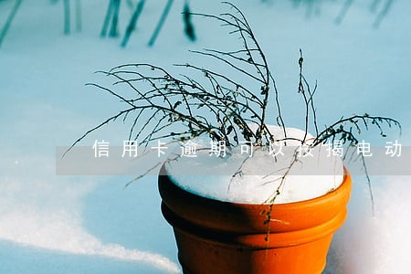 信用卡逾期可以按揭电动车吗 信用卡逾期可以按揭电动车吗