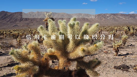 信用卡逾期可以换积分吗 信用卡逾期可以换积分吗
