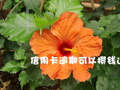 信用卡逾期可以攒钱还吗 信用卡逾期可以攒钱还吗