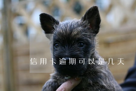 信用卡逾期可以是几天