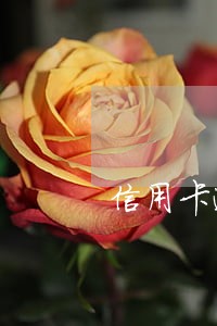 信用卡逾期可以暂缓吗 信用卡逾期可以暂缓吗