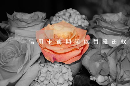 信用卡逾期可以暂缓还款吗 信用卡逾期可以暂缓还款吗