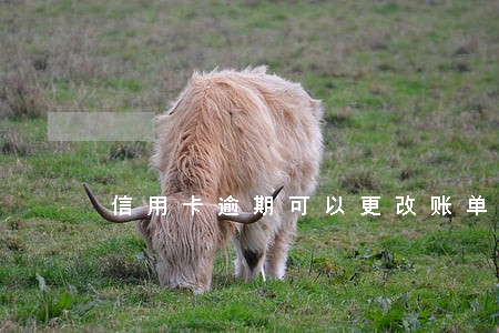 信用卡逾期可以更改账单日