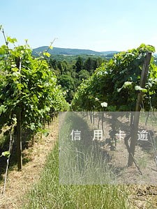 信用卡逾期可以更改账单日吗 信用卡逾期可以更改账单日吗
