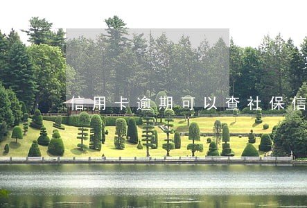 信用卡逾期可以查社保信息吗 信用卡逾期可以查社保信息吗
