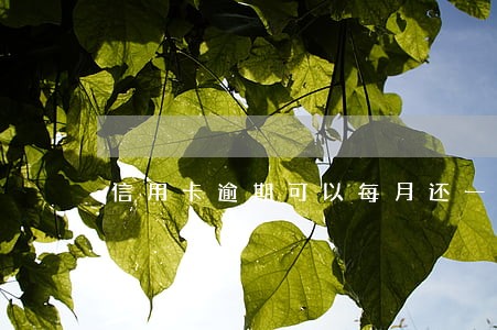 信用卡逾期可以每月还一点吗 信用卡逾期可以每月还一点吗