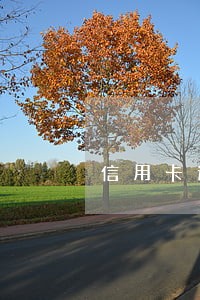 信用卡逾期可以每月还多少钱 信用卡逾期可以每月还多少钱