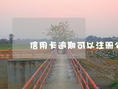 信用卡逾期可以注册公司吗 信用卡逾期可以注册公司吗