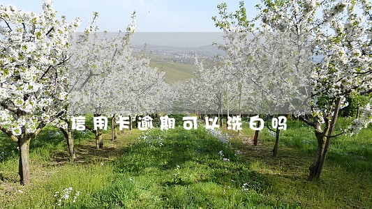 信用卡逾期可以洗白吗