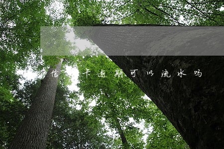 信用卡逾期可以流水吗
