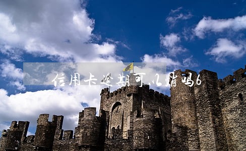 信用卡逾期可以消吗6 信用卡逾期可以消吗6
