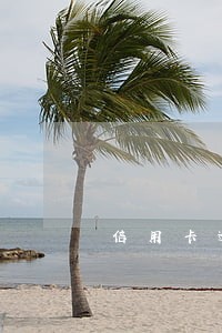 信用卡逾期可以清楚吗 信用卡逾期可以清楚吗