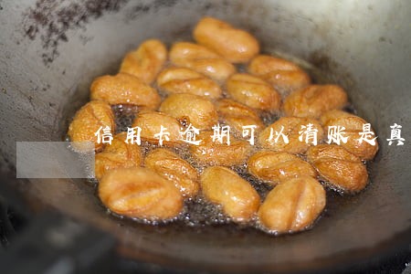 信用卡逾期可以清账是真的吗