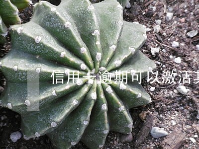 信用卡逾期可以激活其他银行吗 信用卡逾期可以激活其他银行吗