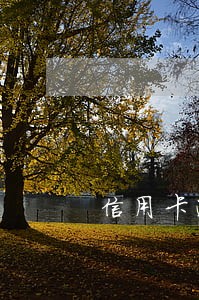 信用卡逾期可以炒股买基金吗 信用卡逾期可以炒股买基金吗