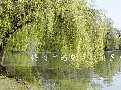 信用卡逾期可以用医疗吗