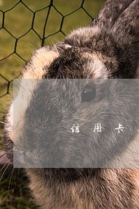 信用卡逾期可以用微信还款吗 信用卡逾期可以用微信还款吗