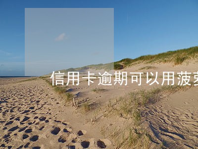 信用卡逾期可以用菠萝贷吗 信用卡逾期可以用菠萝贷吗