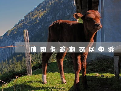 信用卡逾期可以申诉 信用卡逾期可以申诉