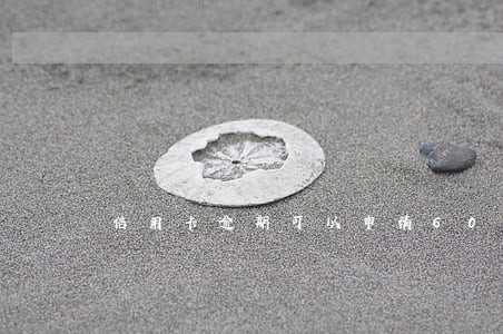 信用卡逾期可以申请60期