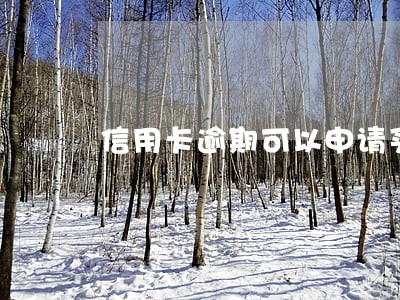 信用卡逾期可以申请买车吗 信用卡逾期可以申请买车吗